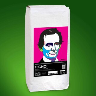 TEGNO® UHPC special cement, white 300 kg (12 bags)