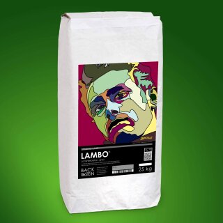 LAMBO ® laminating concrete, grey 300 kg (12 bags)