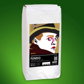 FUNDO grouting concrete, high-strength, white