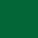 CAPOSIL pigment paste type 717 fir green