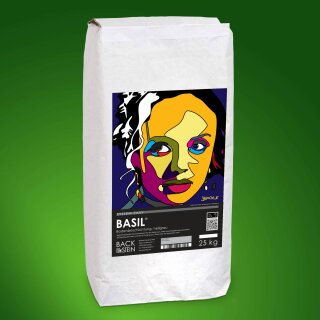 BASIL ® Bodenbeton hellgrau